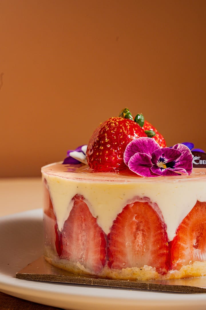 Fraisier 2 Fraisier 2 1